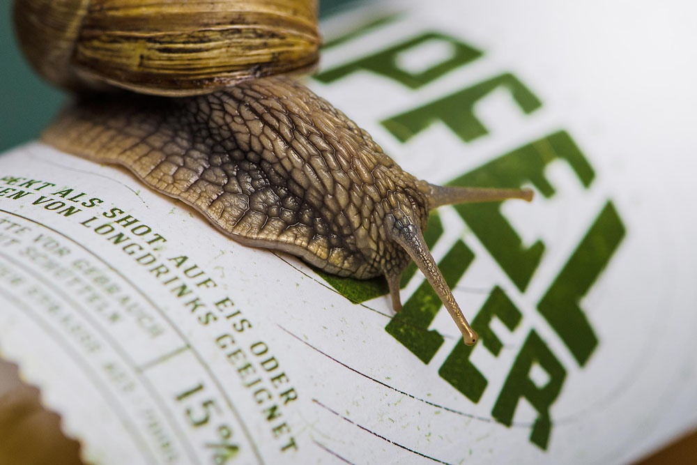 品牌包裝形象設(shè)計(jì)